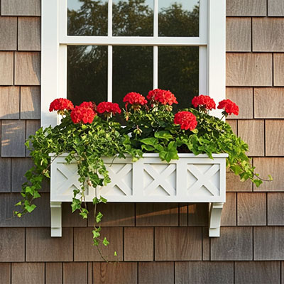 European Style Wolfgang Window Box