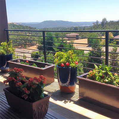 Bronze Planter Box