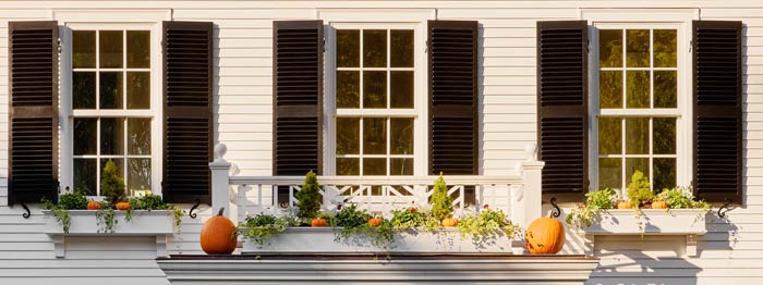 Curb Appeal with Window Boxes and Shutters