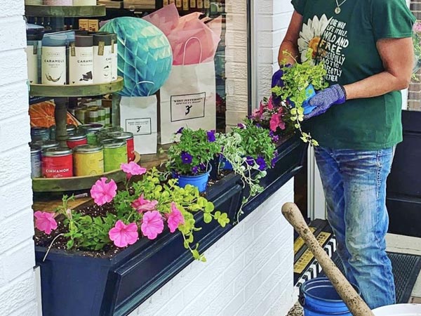 DIY Planting Window Boxes