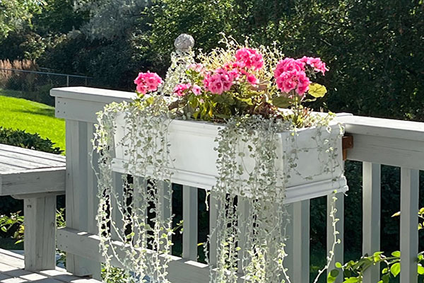 Outdoor Flower Box on Railing