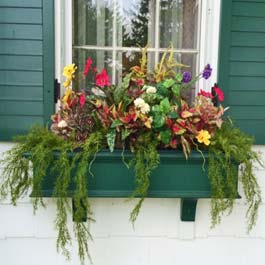 Green window box with multicolor display