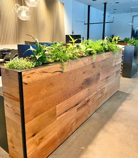 Indoor Wood Planter with Planks