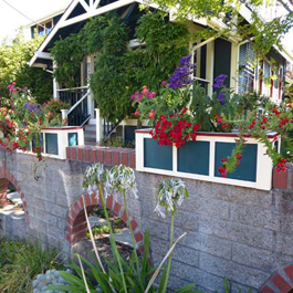 Red, white, and blue planter boxes on brick ledge