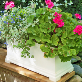 small planter with pink flowers