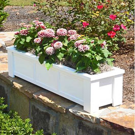 planter box sitting on stone ledge with pink Dhalia flowers