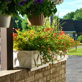 planter with pattern sitting atop brick ledge