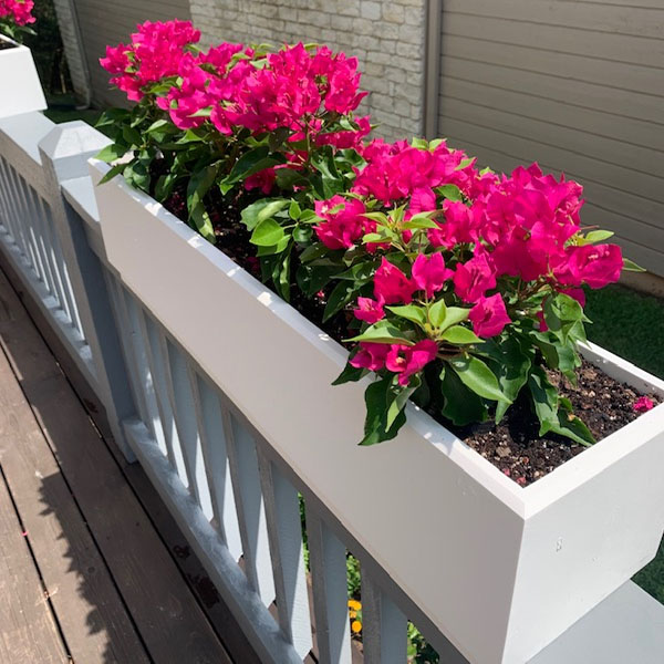 Rail Top Planters