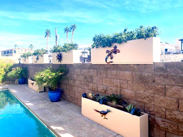 Privacy Planters on Top of Wall for Pool