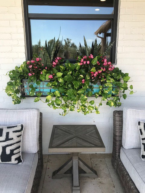 Shade Loving Window Box Flowers