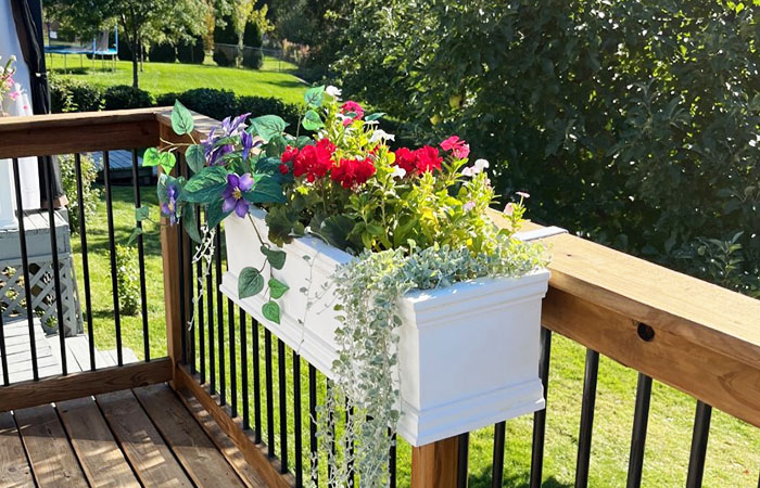 Summer Flower Box Ideas