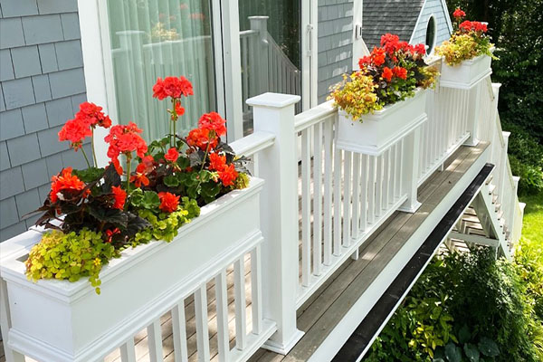 Summer Window Box on Railing