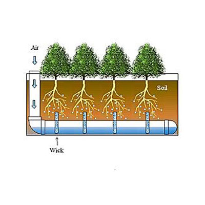 What is a SIP Planter