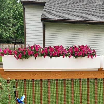 Hanging Wooden Planter Window Box Balcony Decking LARGE Over the Fence Panel
